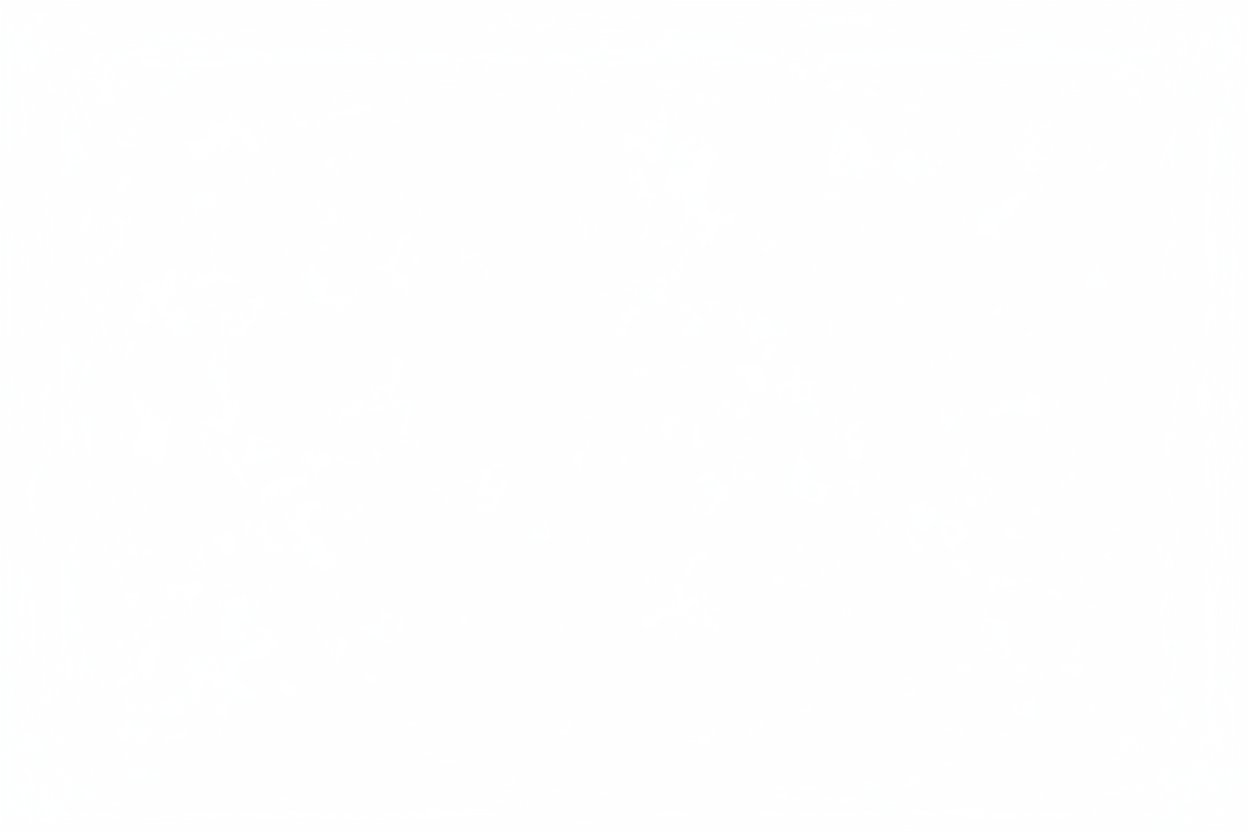 blank white nothing else 